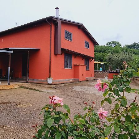 Country House Dolce Nocciola Vignanello Luaran gambar