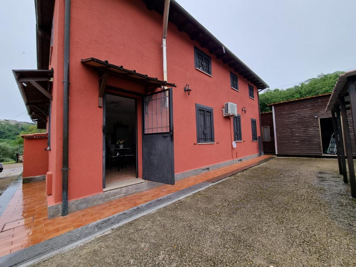 Country House Dolce Nocciola Vignanello Luaran gambar