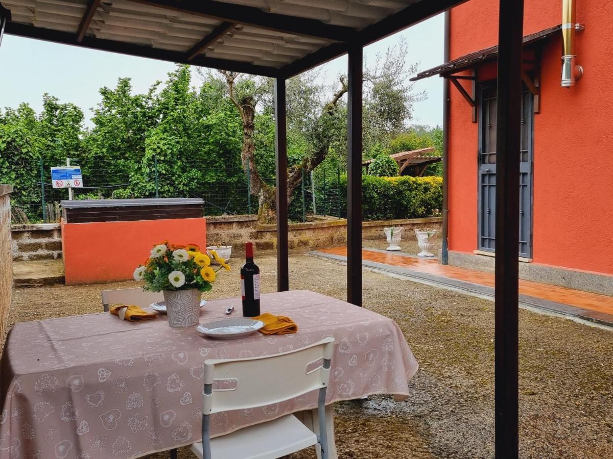 Country House Dolce Nocciola Vignanello Luaran gambar