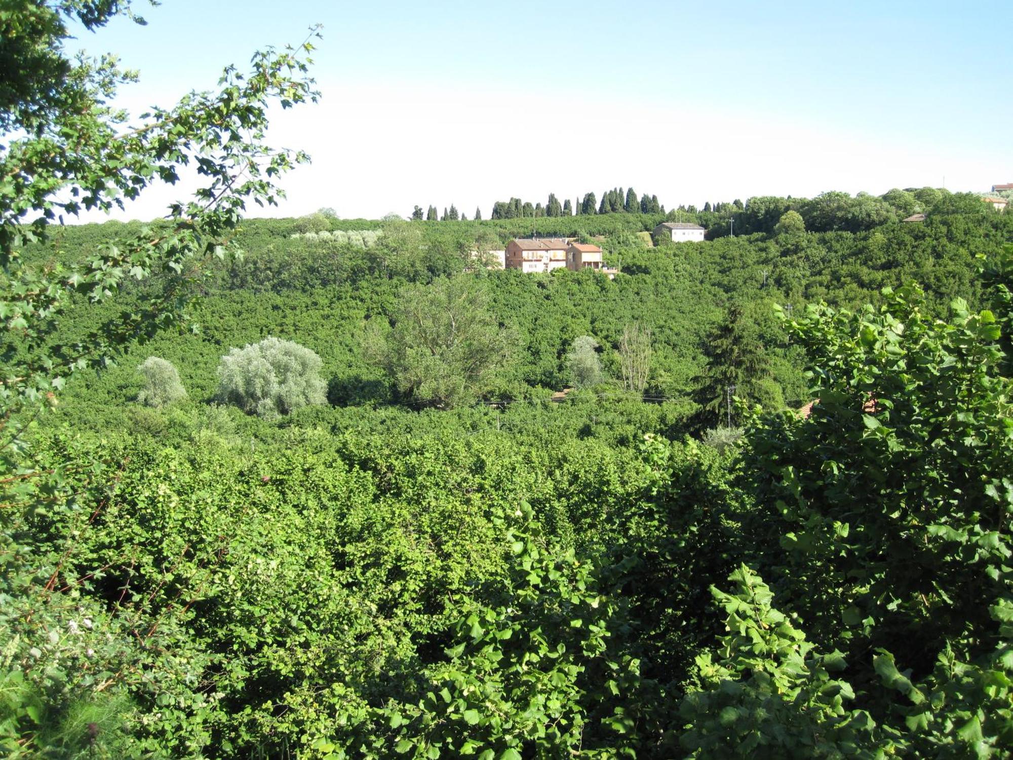Country House Dolce Nocciola Vignanello Luaran gambar